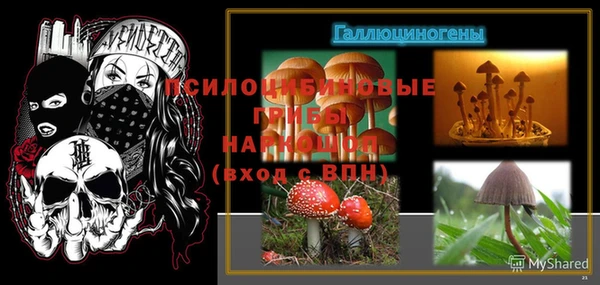 a pvp Аркадак