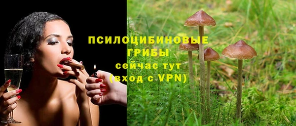 винт Балахна